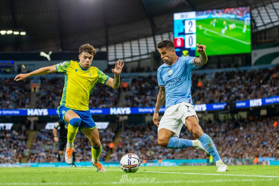 家培养机制 家培养机制