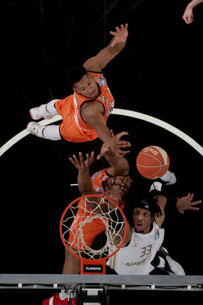 点开花让灰 点开花让灰